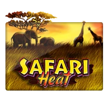 Joker123 : Safari Heat - ATHENA777