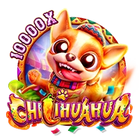 Facai : CHILIHUAHUA - ATHENA777