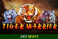 Spadegaming : Tiger Warrior - ATHENA777