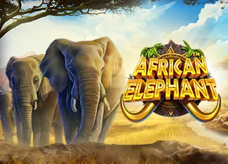 Pragmatic : African Elephant - ATHENA777